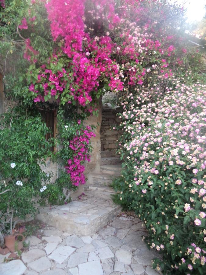 הוילה Lemona Lantana Stone House מראה חיצוני תמונה